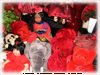 Artist Doll Photo Gallery of The Doll Empire · The Glamorous World Of Doll Artists and Artist Dolls